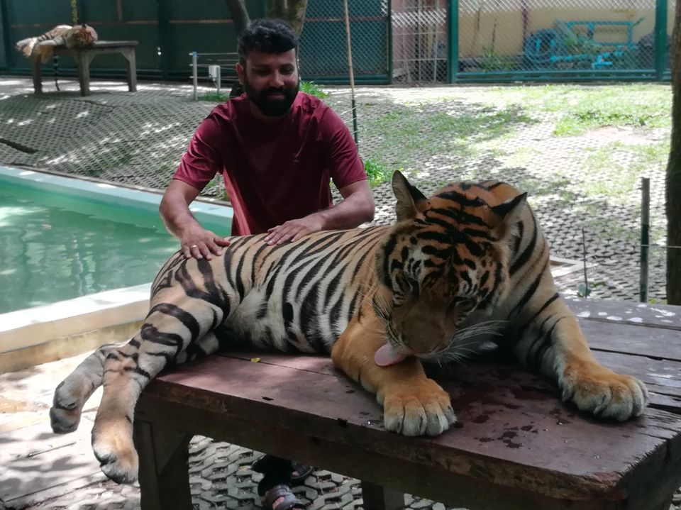 Photo of Tiger Kingdom Phuket, Kathu, Kathu District, Phuket, Thailand by Gypsi Life
