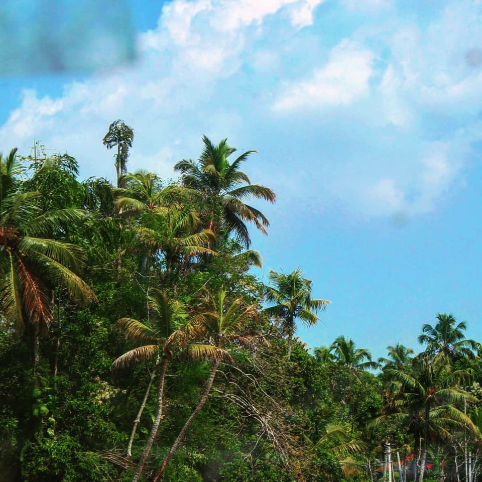 Photo of Thiruvananthapuram, Kerala, India by Paras Pandya
