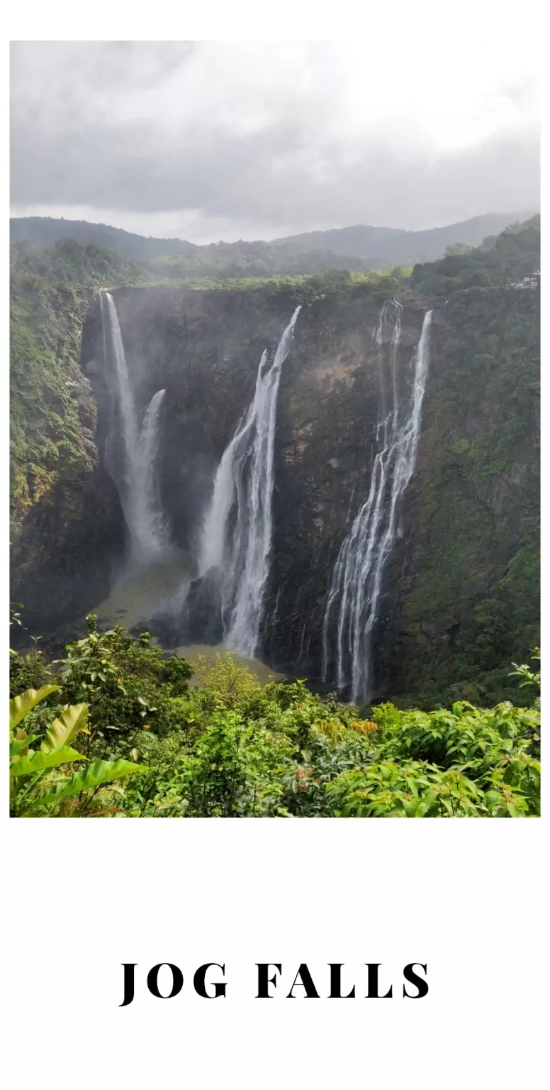 Photo of Jog falls : A one day trip by Haripriya Yadarth
