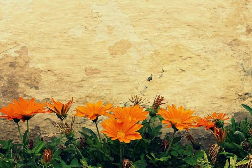 Photo of In And Around The City of Lakes by Madhura Sarkar