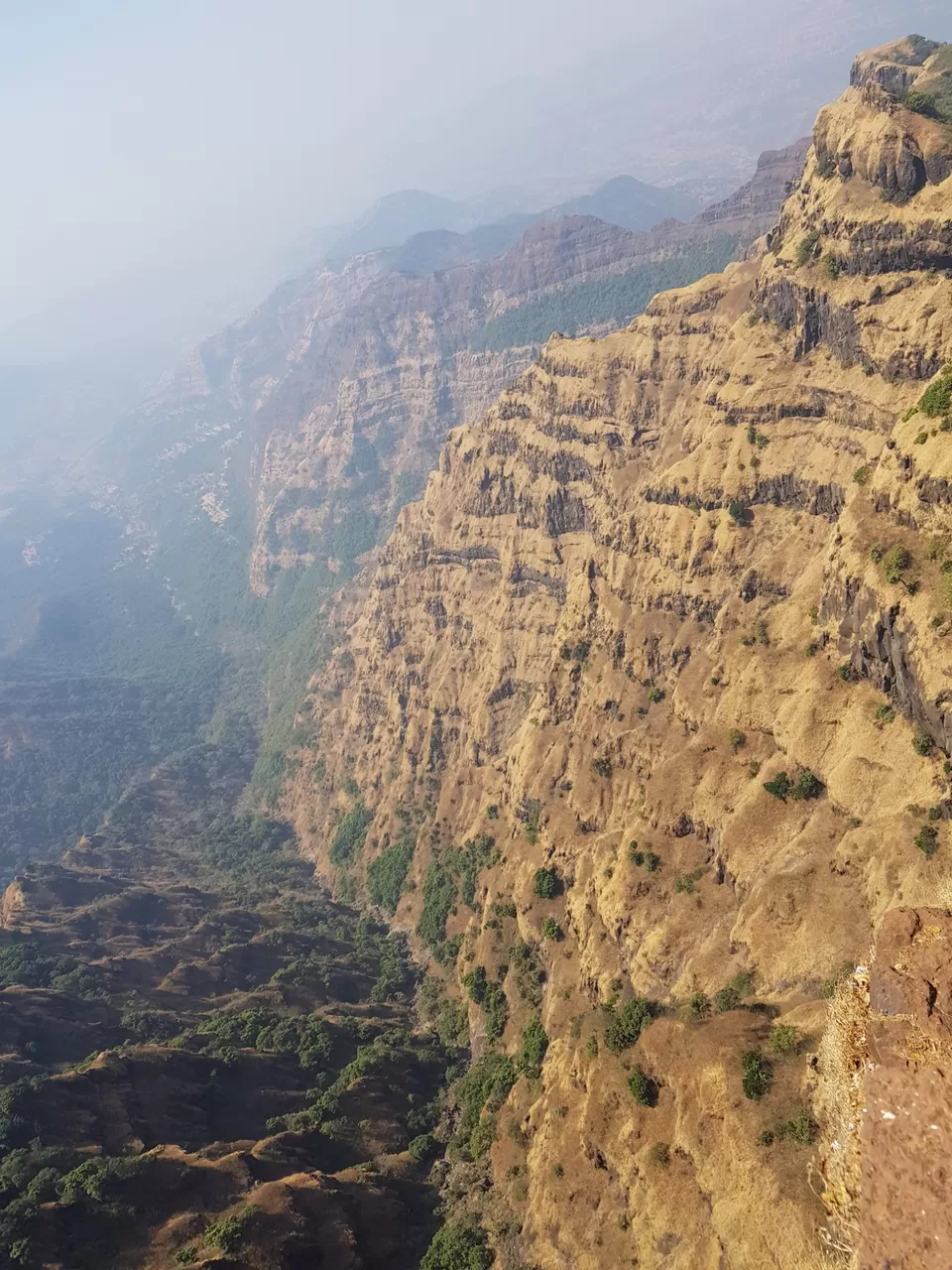 Photo of Mahabaleshwar and strawberries ki yatra by Shipra Jha