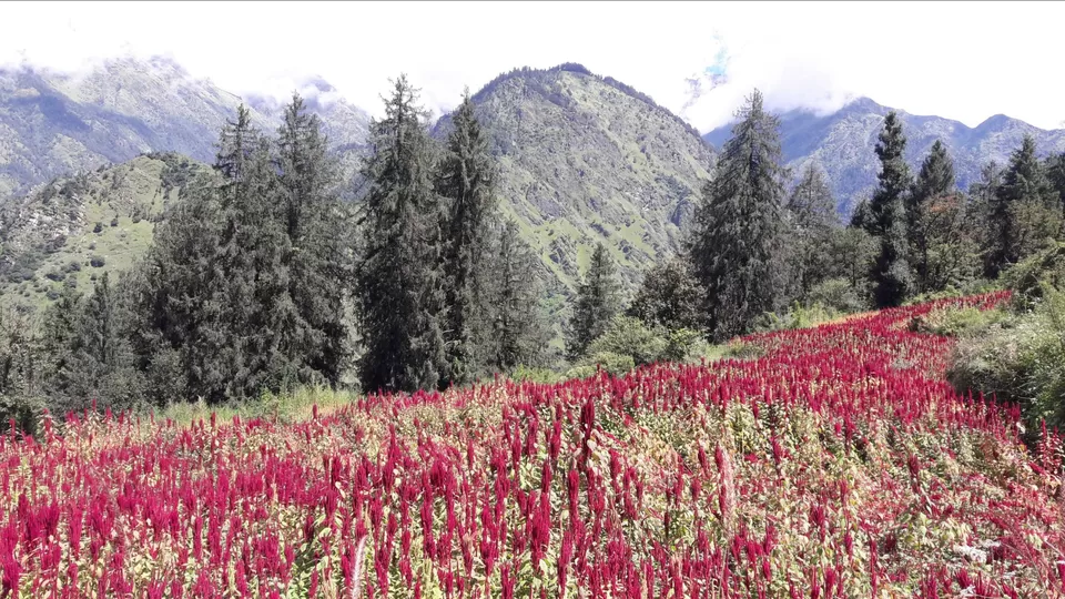 Photo of Roopkund, Uttarakhand by Mainak Banerjee
