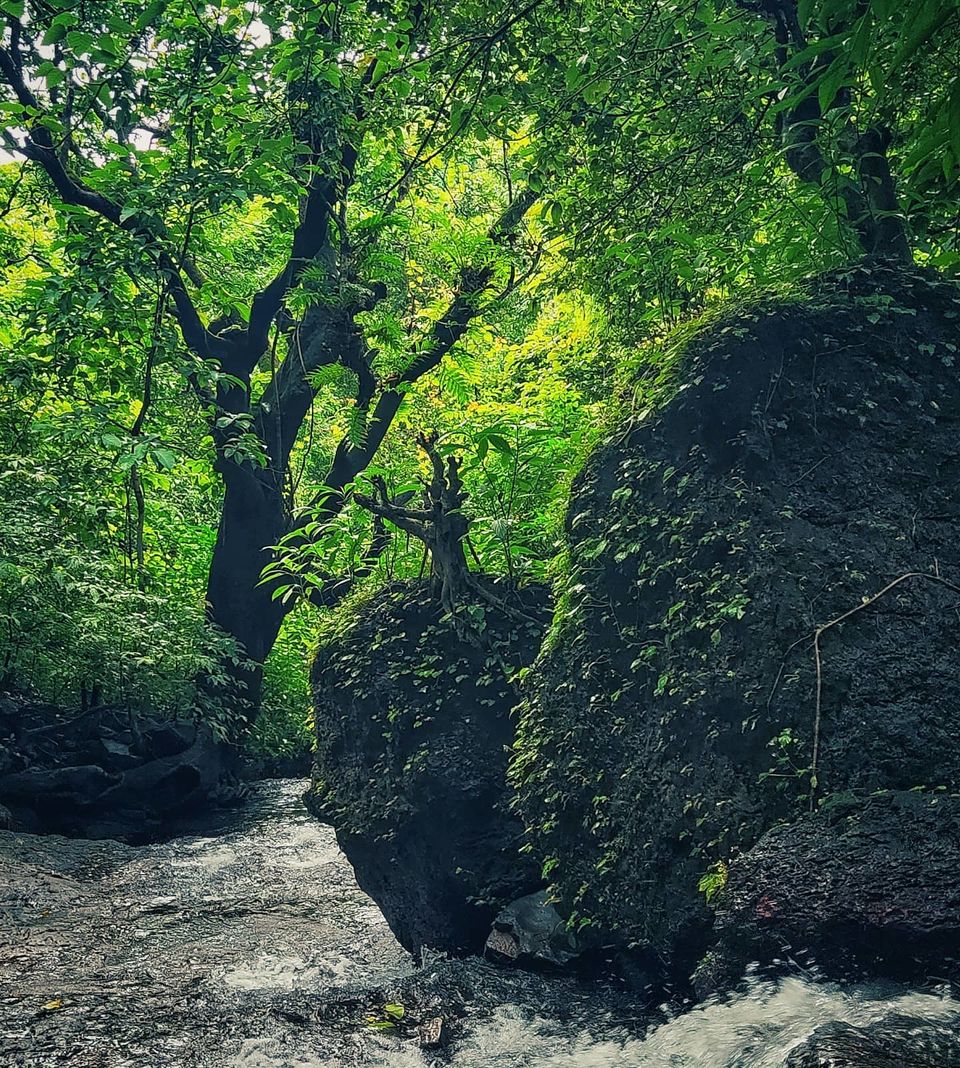Photo of Ratnagiri by TravelAtma