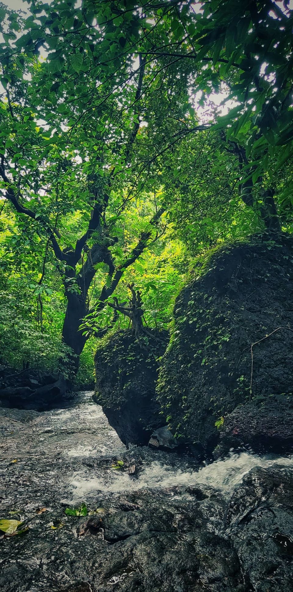 Photo of CHAFANATH... The Shiva Temple on hilltop, Ratnagiri by TravelAtma
