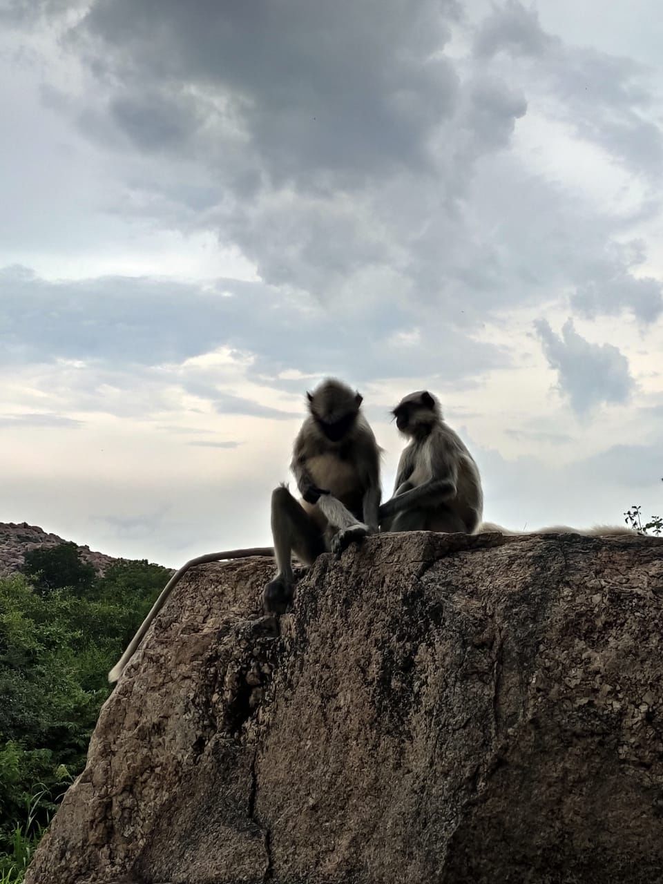 Photo of Anjanadri Hill, Hanumanahalli, Karnataka by HARSHIT DOLKA