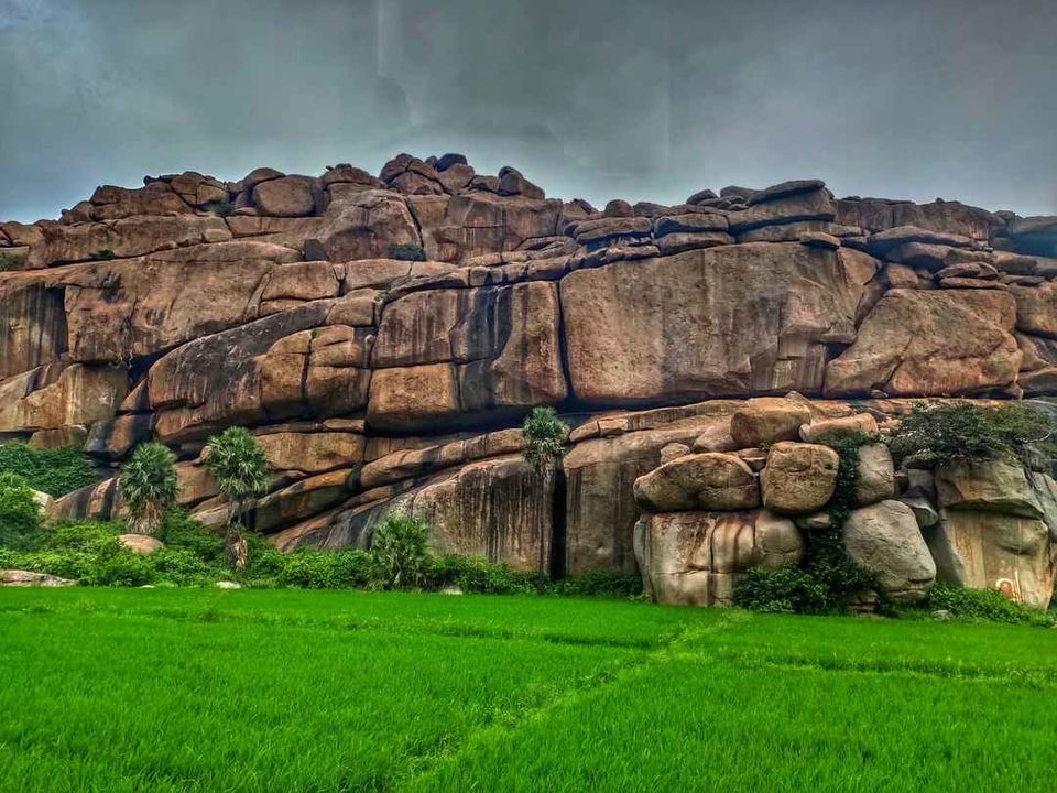Photo of Jungletree Hampi, Rangapur, Karnataka, India by HARSHIT DOLKA