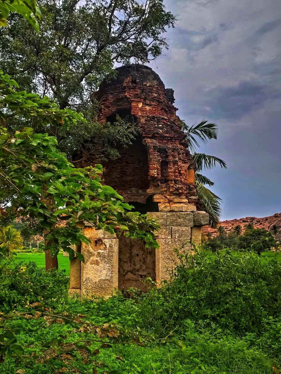 Photo of Jungletree Hampi, Rangapur, Karnataka, India by HARSHIT DOLKA