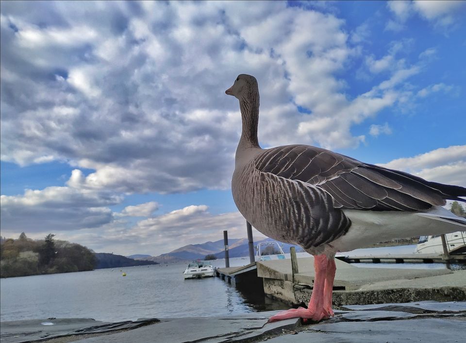 Photo of Windermere, UK by Saurabh Amrit