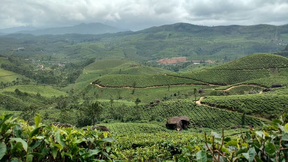 Photo of An Ode to Kerala... by Chandni