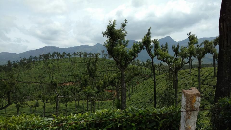 Photo of An Ode to Kerala... by Chandni