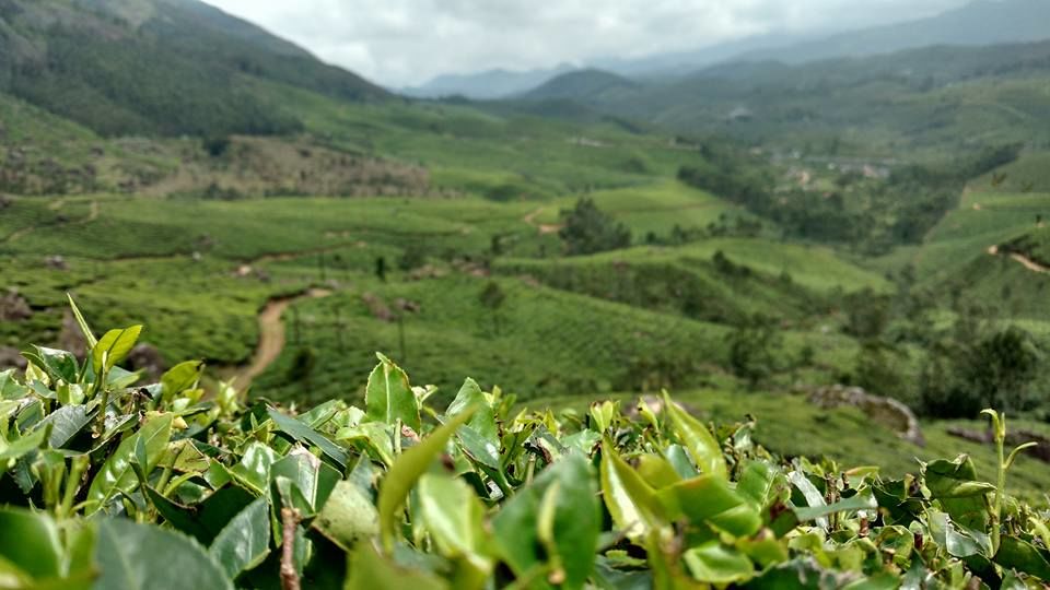 Photo of An Ode to Kerala... by Chandni