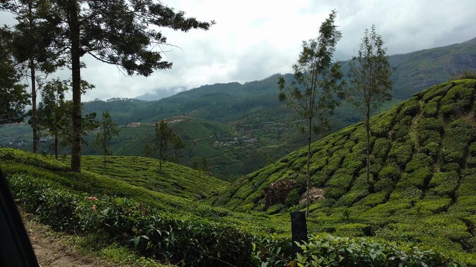 Photo of An Ode to Kerala... by Chandni
