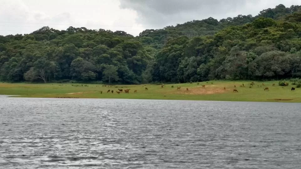 Photo of Periyar Lake, Idukki, Kerala, Inde by Chandni