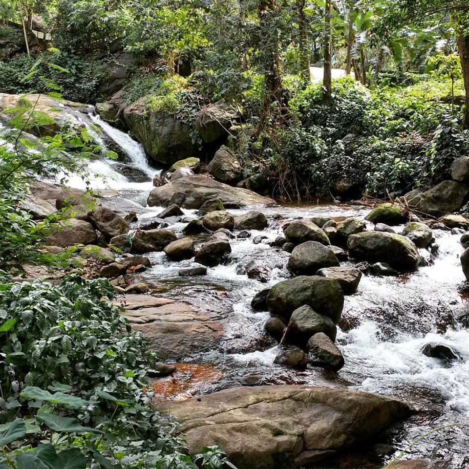 Photo of An Ode to Kerala... by Chandni