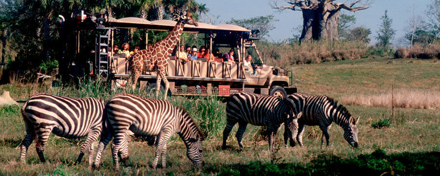 Photo of Best Theme Parks I Have Been To Around The World 10/31 by Pratik Goel