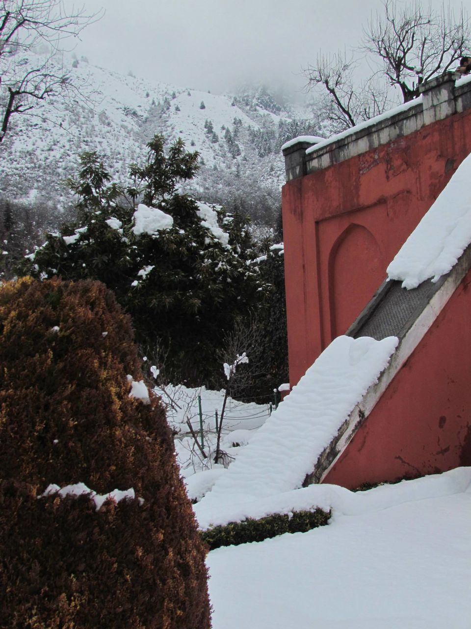 Photo of Srinagar in Snow - World's Most Beautiful City 11/20 by Pratik Goel