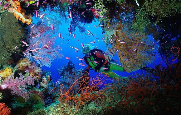 Photo of Top 10 Experiences in Philippines 1/1 by Pratik Goel