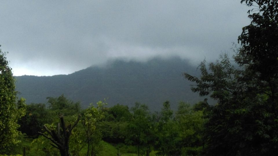 Photo of Hadashi – Nature at its best 8/15 by Neha Ninad