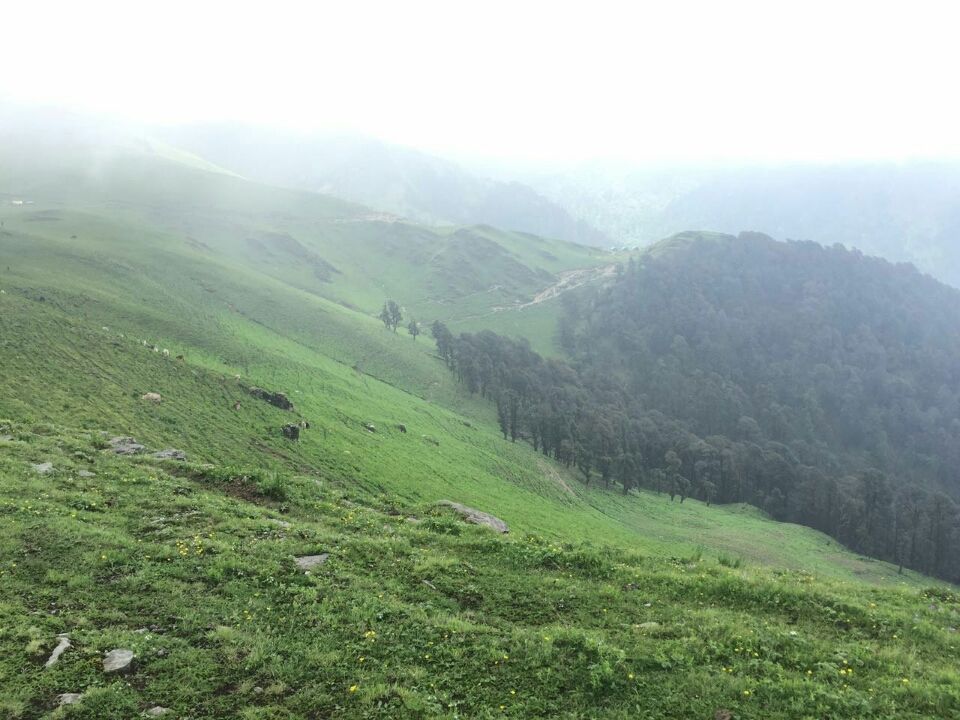 Photo of Roopkund Base Camp, Road for Roopkund Trek, Lohjang, Uttarakhand 246427, India by Naini Shah (DateWithMountains)