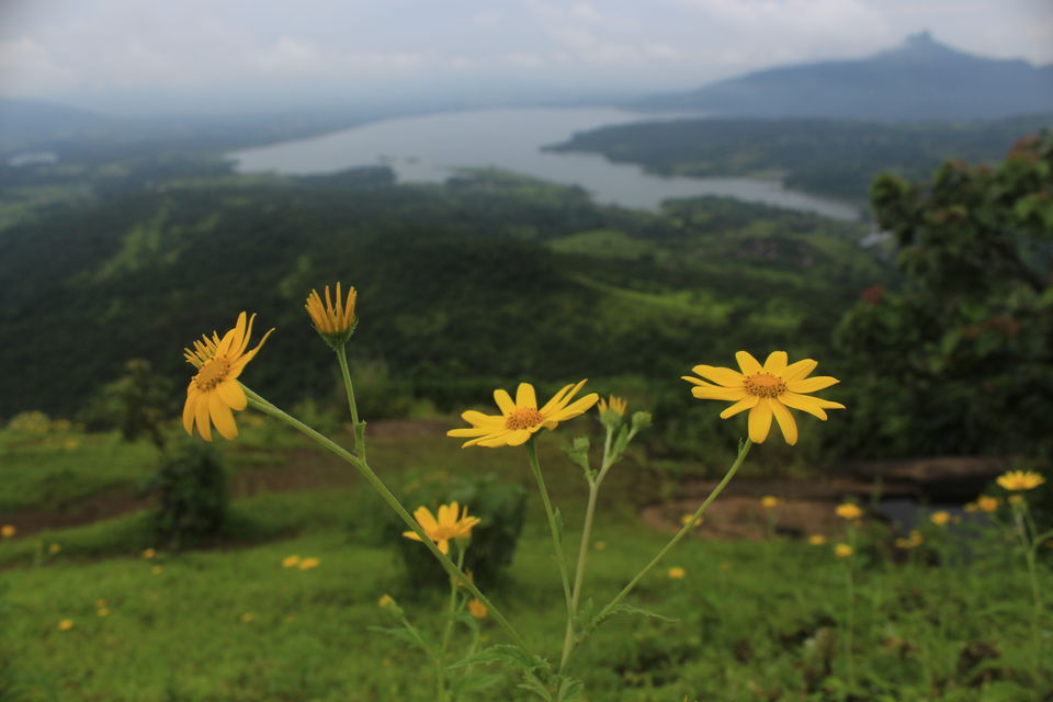 Photo of A trek date with my mom! 1/5 by Naini Shah (DateWithMountains)