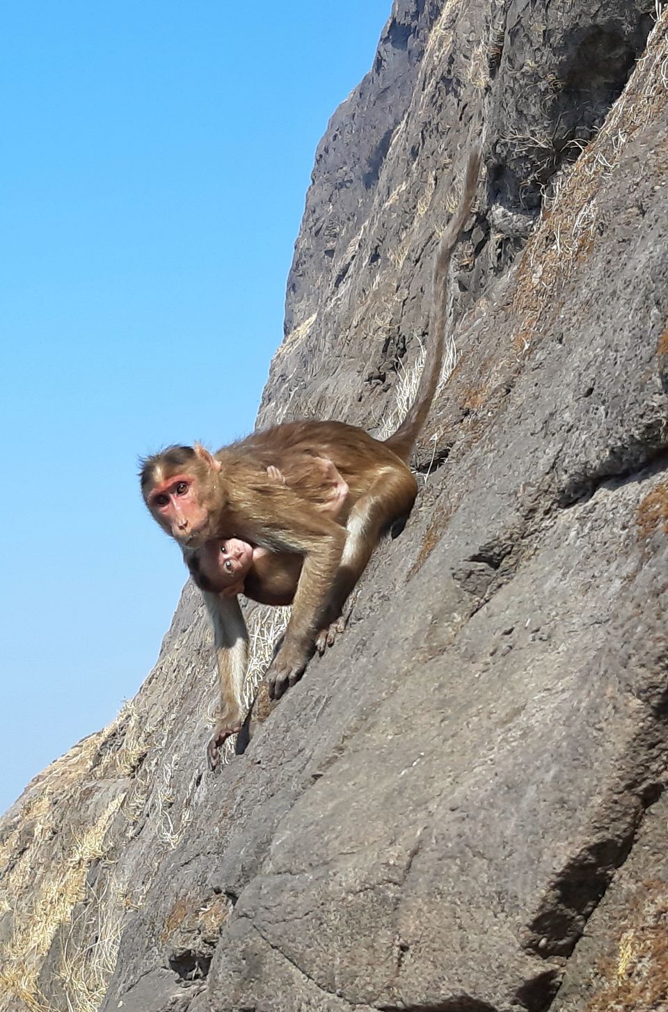 Photo of Dhak Bahiri Trek - A trek not for the faint hearted! by Naini Shah (DateWithMountains)