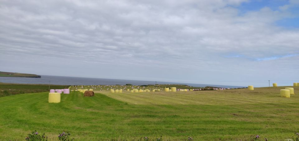 Photo of NC500 - Best Coastal Touring Route In The World! by Tabish Ghafoor
