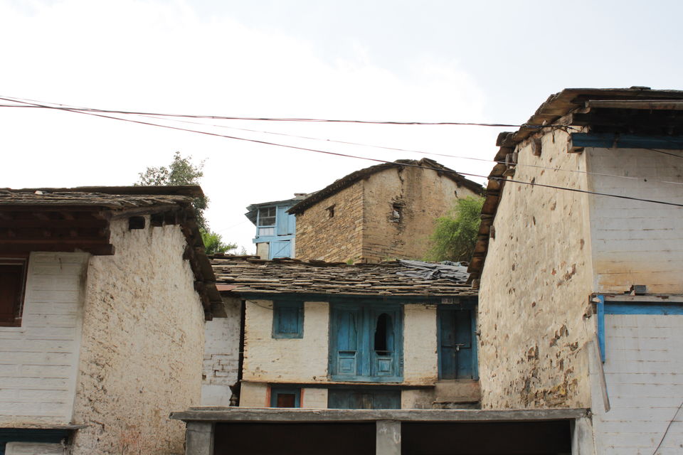 Photo of Binsar Valley - Stuck in Time by Gauri Sharma