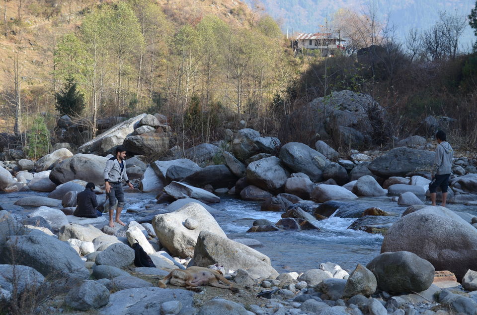 Photo of Manali, the (un)conventional way! 4/4 by Vibhuti Sharma