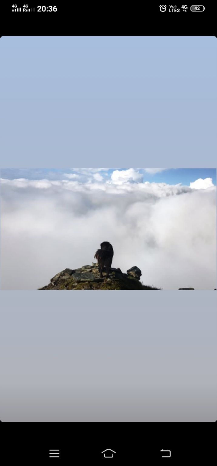 Photo of A trip to peak by Tra nav