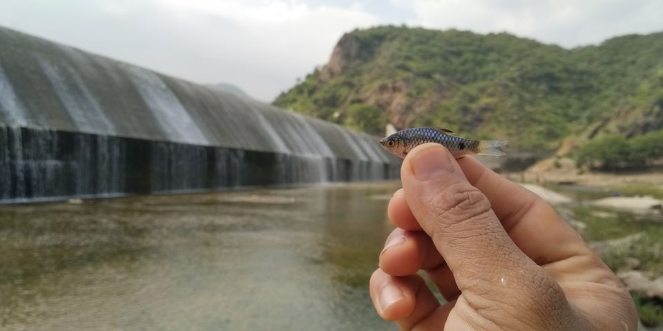 Photo of Udaipur, Rajasthan, India by Rohan Baunthiyal