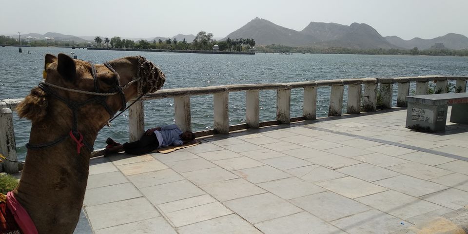 Photo of Udaipur, Rajasthan, India by Rohan Baunthiyal