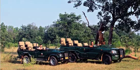 Photo of A Complete Guide Bandhavgarh National Park by Teerath Singh