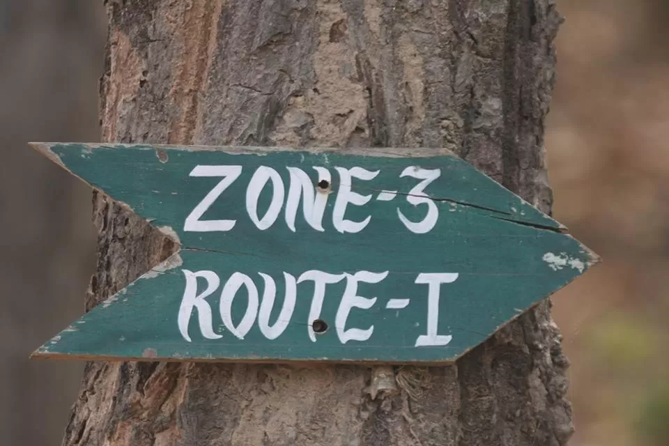Photo of A Complete Guide Bandhavgarh National Park by Teerath Singh
