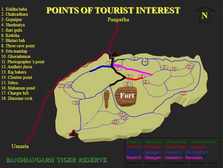Photo of A Complete Guide Bandhavgarh National Park by Teerath Singh