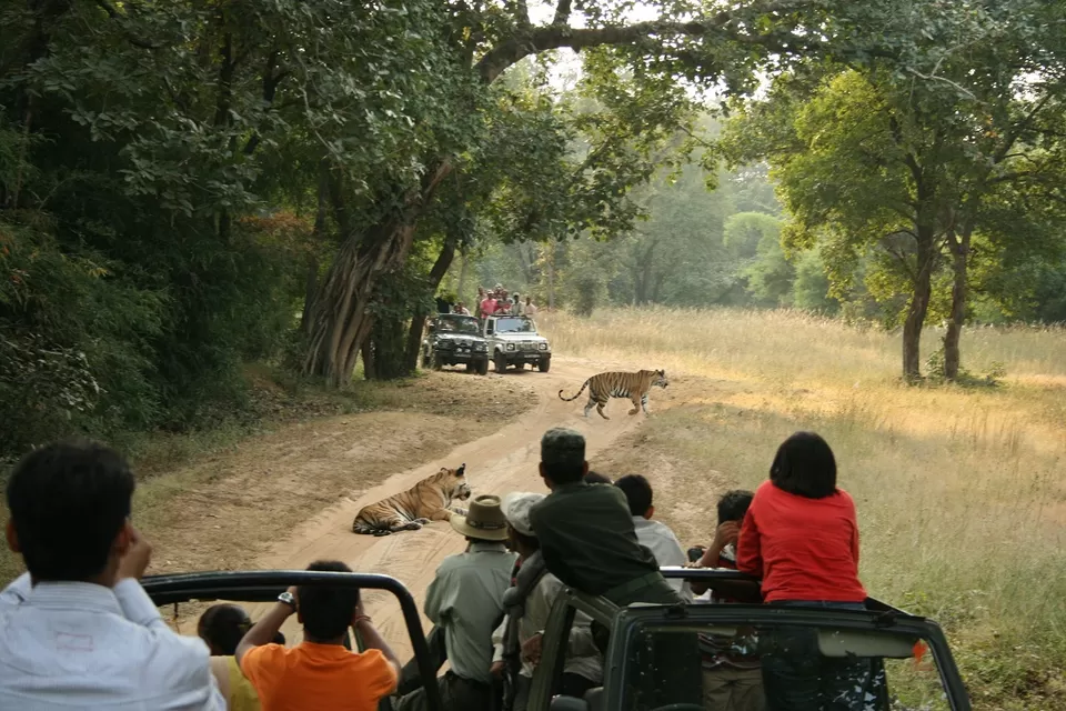 Photo of Bandhavgarh Fort, Bandhavgarh Qila Trail, Bandhavgarh, Madhya Pradesh, India by Teerath Singh