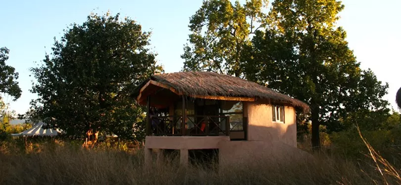 Photo of A Complete Guide Bandhavgarh National Park by Teerath Singh
