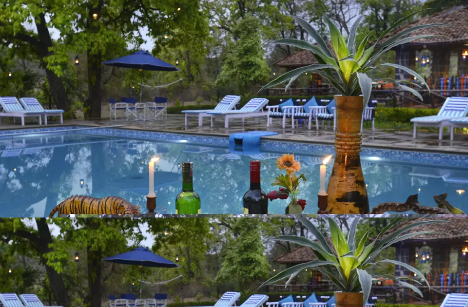 Photo of A Complete Guide Bandhavgarh National Park by Teerath Singh