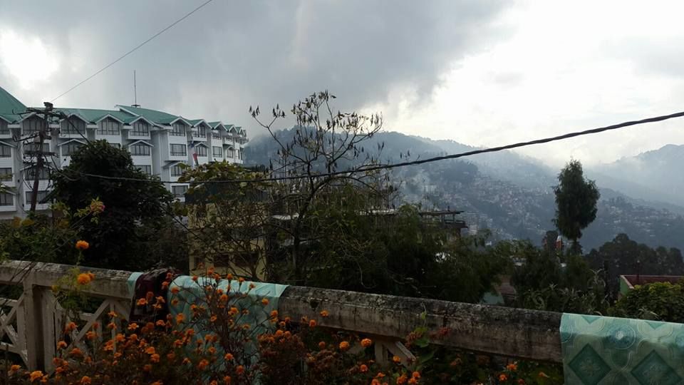 Photo of Travelling with Tantrums-Darjeeling by Yogita Sinha