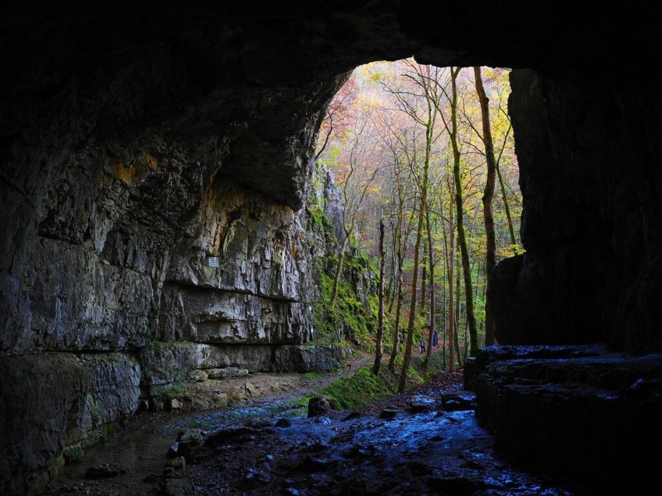 Photo of Hang Son Doong Cave Tour in 2021 | Check out 5 Interesting facts about the World's Largest Cave 3/3 by Heena Bhatia