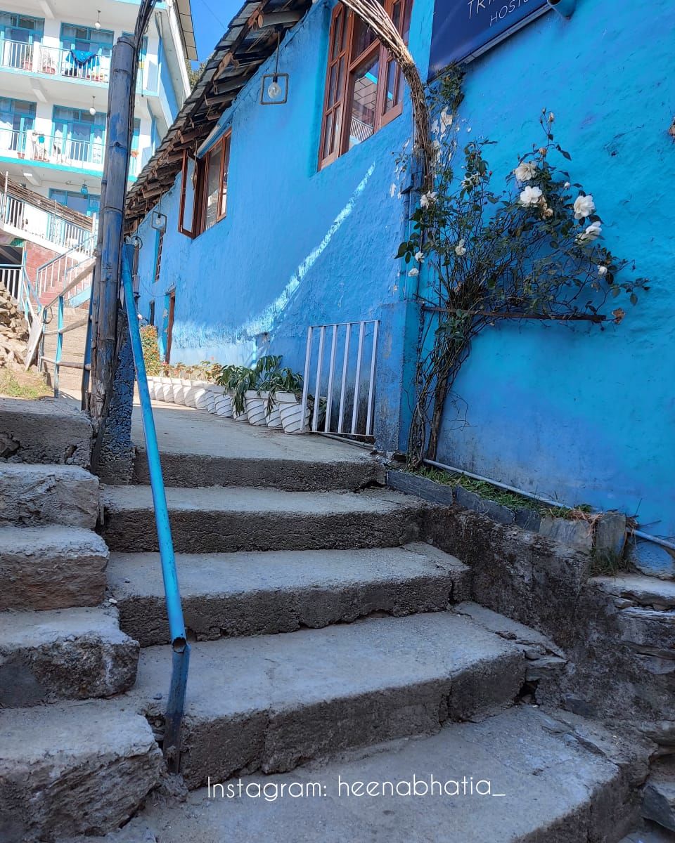 Photo of Best Hostel in Mcleodganj and Dharamshala To Spend Your Vacations in 2021 by Heena Bhatia