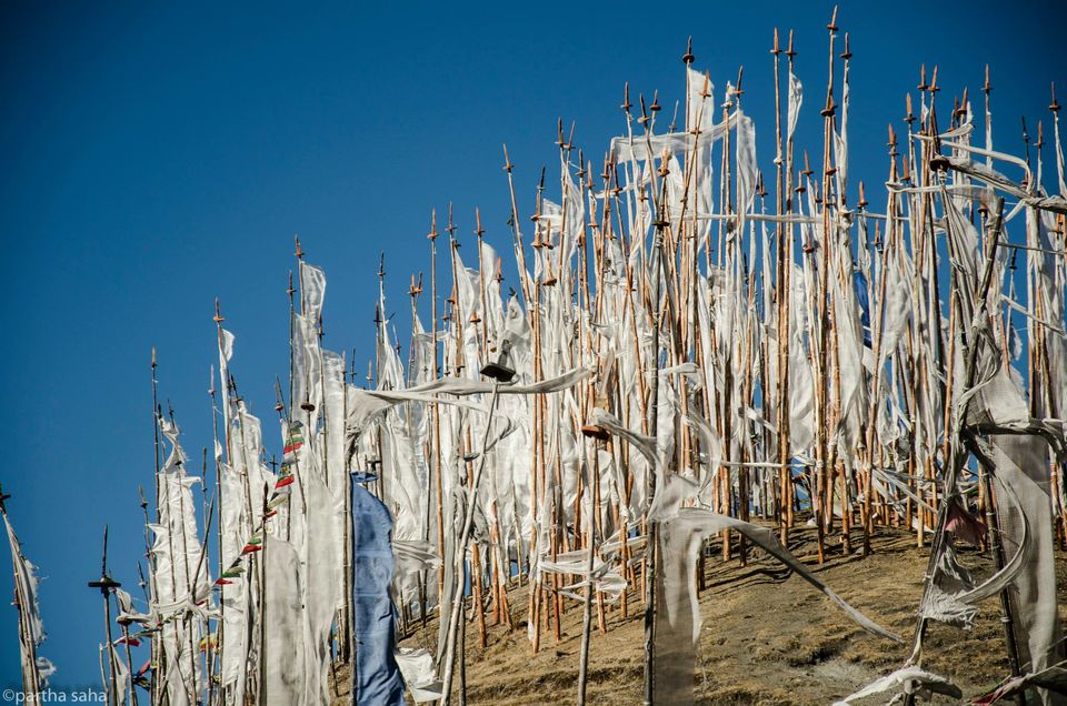 Photo of BHUTAN & JALDAPARA TRIP WITH FRIENDS 7/10 by Partha Saha