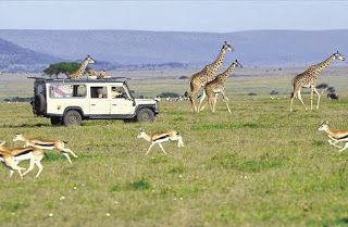 Photo of SPLENDOURS OF KENYA HOLIDAYS SAFARIS by SPLENDOURS OF AFRICA TOURS
