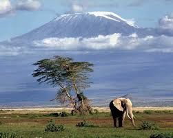 Photo of SPLENDOURS OF KENYA HOLIDAYS SAFARIS by SPLENDOURS OF AFRICA TOURS