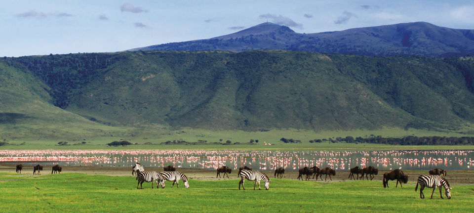 Photo of by SPLENDOURS OF AFRICA TOURS