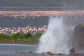 Photo of KENYA MISSIONARY TRAVEL by SPLENDOURS OF AFRICA TOURS