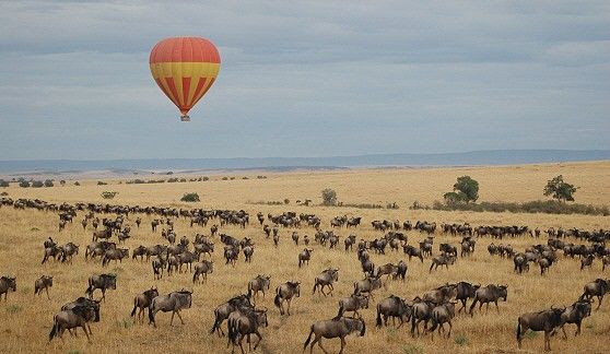 Photo of KENYA MISSIONARY TRAVEL by SPLENDOURS OF AFRICA TOURS