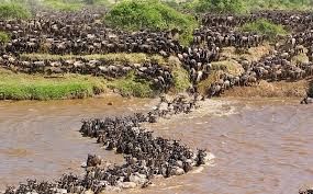 Photo of KENYA MISSIONARY TRAVEL by SPLENDOURS OF AFRICA TOURS