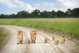 Photo of KENYA MISSIONARY TRAVEL by SPLENDOURS OF AFRICA TOURS