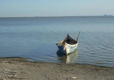 Photo of LAKE TURKANA AND OL PAJETA CONSERVANCY by SPLENDOURS OF AFRICA TOURS
