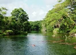 Photo of PRIVATE FAMILY SAFARI - KENYA by SPLENDOURS OF AFRICA TOURS